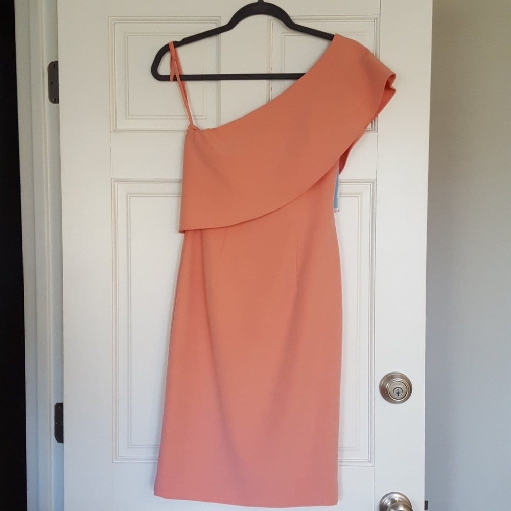 NWT Antonio Melani Pink Jony Dress Size 0 - Picture 3 of 6